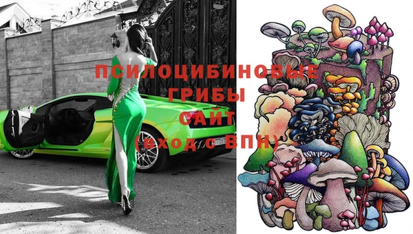 дживик Алзамай