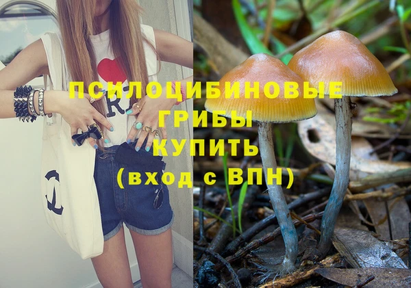 СК Семилуки