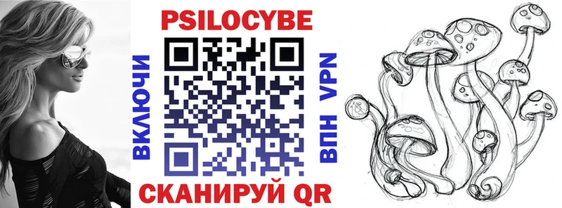 Галлюциногенные грибы Psilocybe  Кимры 