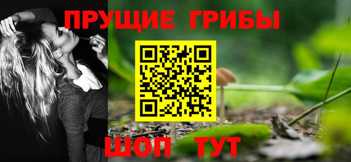 Кимры  Псилоцибиновые грибы GOLDEN TEACHER  Псилоцибиновые грибы мухоморы  Вход с VPN 